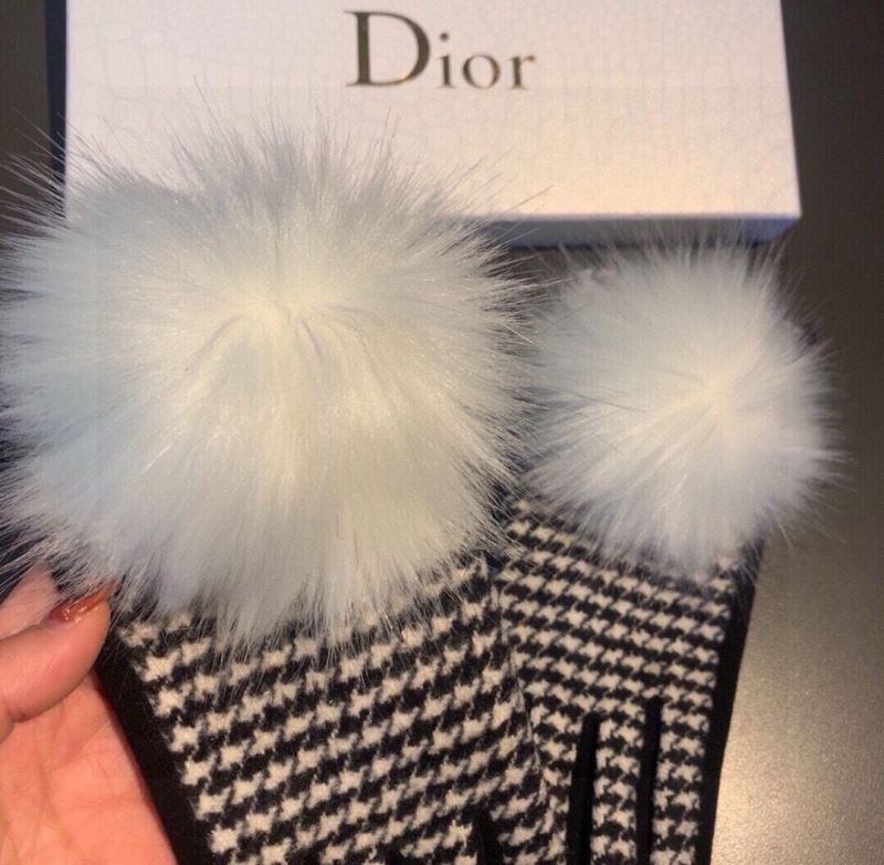 Christian Dior Gloves